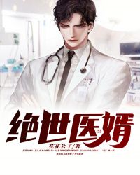 绝世医婿1至100集